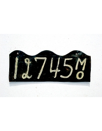 old Missouri leather license plate 9