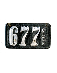 old Texas leather license plate 11