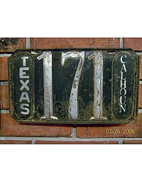 old Texas leather license plate 1